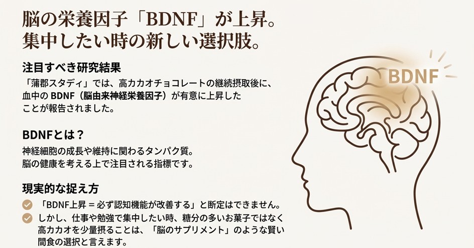 脳のイラストと共に、BDNF(脳由来神経栄養因子)の上昇と集中したい時の間食としての活用法を説明したスライド