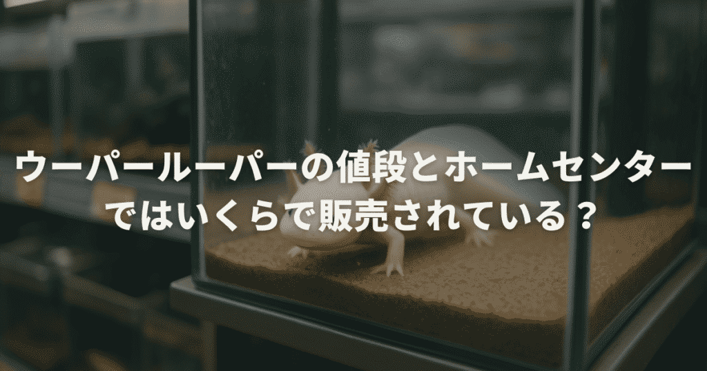 ウーパールーパーの値段とホームセンターではいくらで販売されているか紹介