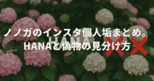 ノノガのインスタ個人垢まとめ。HANAと偽物の見分け方