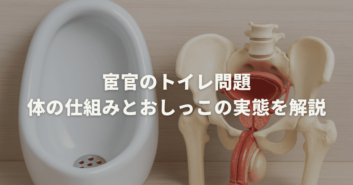 宦官のトイレ問題。体の仕組みとおしっこの実態を解説