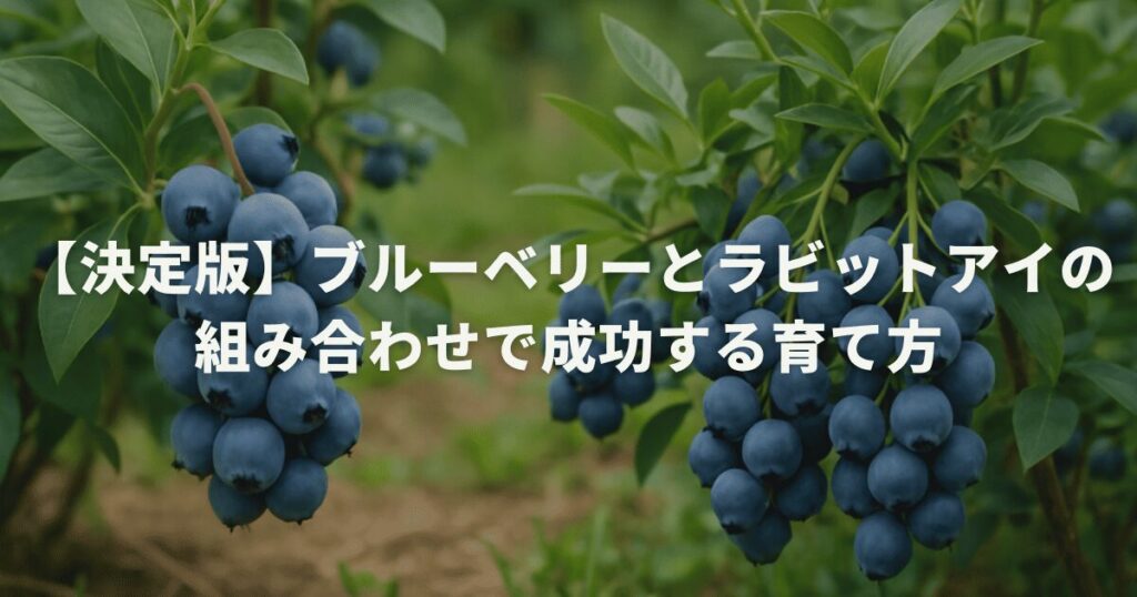 【決定版】ブルーベリーとラビットアイの組み合わせで成功する育て方