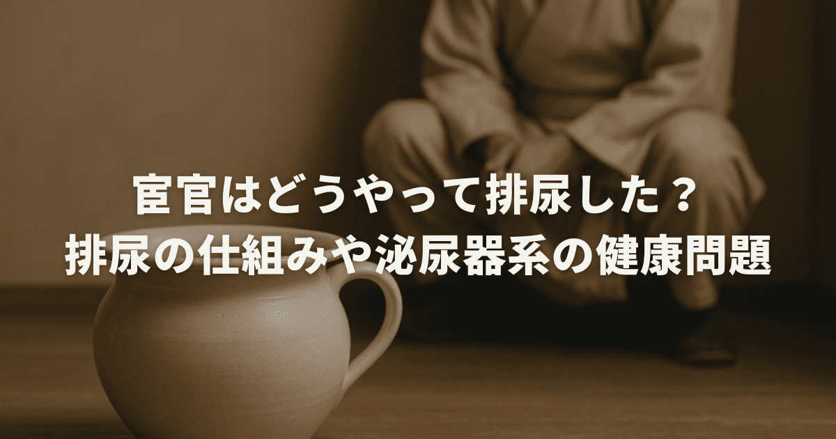 宦官はどうやって排尿した?排尿の仕組みや泌尿器系の健康問題