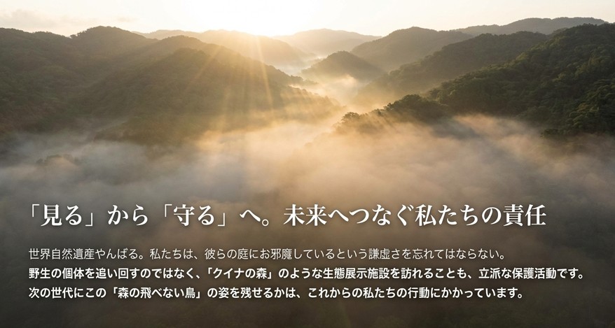 やんばるの森の風景写真と、野生生物との共存・保護を訴えるメッセージ