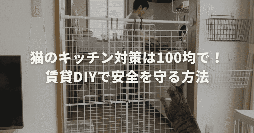猫のキッチン対策は100均で！賃貸DIYで安全を守る方法