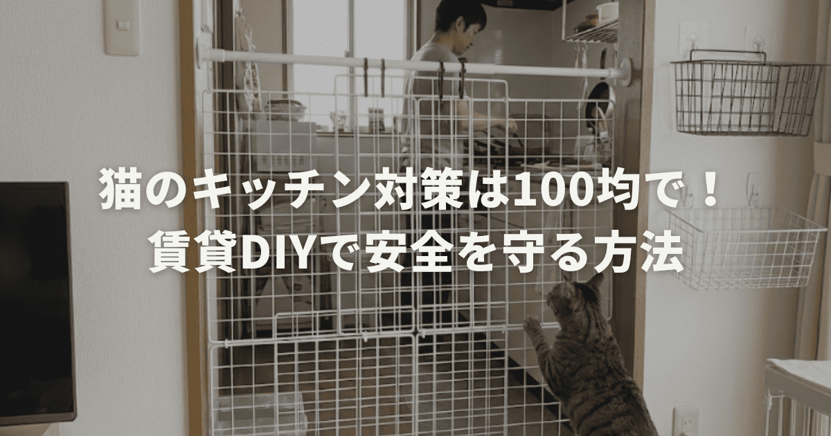猫のキッチン対策は100均で!賃貸DIYで安全を守る方法