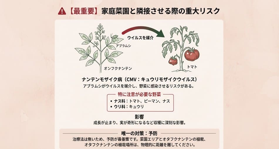 アブラムシが媒介するナンテンモザイク病（CMV）が、トマトやキュウリなどの野菜に感染するリスクを示した図解フローチャート。
