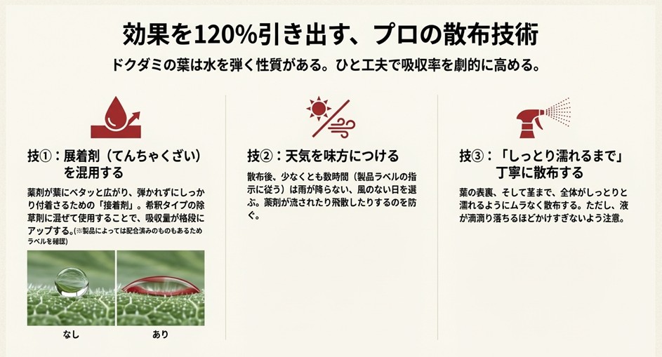ドクダミの葉が水を弾く様子と、展着剤を使用して薬剤をベタッと付着させている様子の比較。しっとり濡れるまで丁寧に散布するコツ。