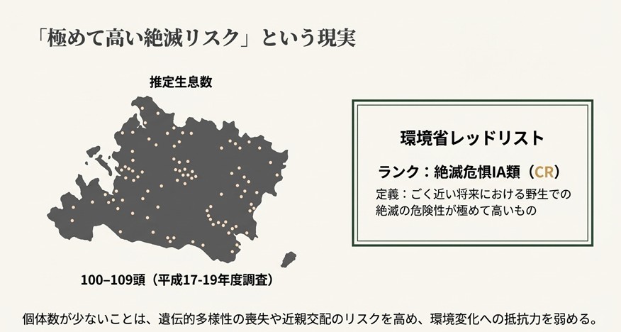 西表島の地図上に個体の分布イメージを示し、環境省レッドリストで「絶滅危惧IA類(CR)」に指定されていること、推定生息数が100頭前後であることを説明したスライド。