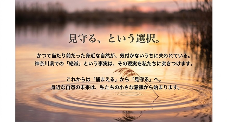 ミズカマキリの未来のために、捕獲するだけでなく「見守る」という選択肢を提案するメッセージ画像。