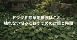 ドクダミ除草剤最強はこれ！枯れない悩みにおすすめの対策と時期