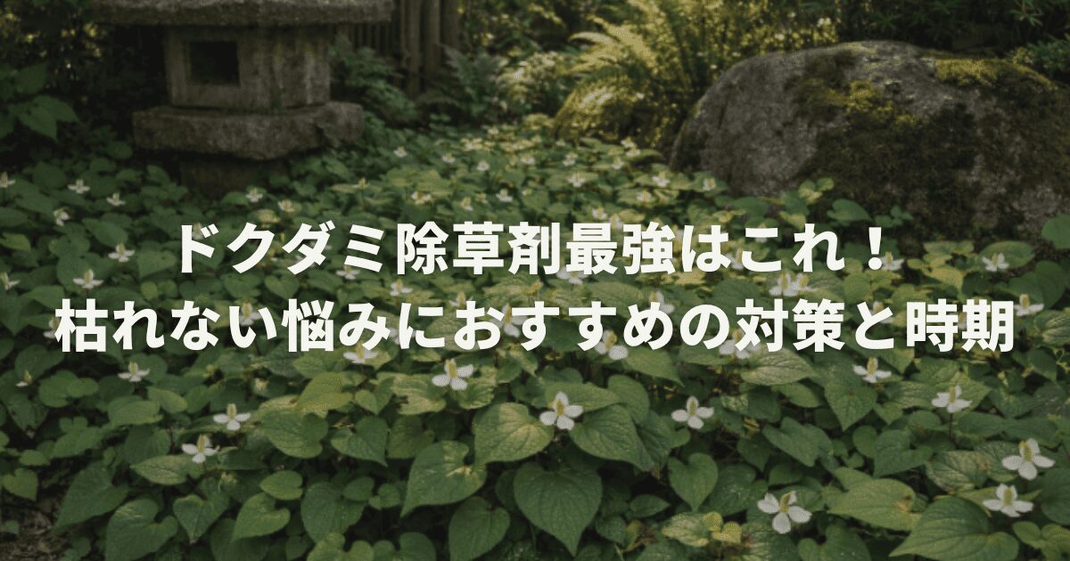 ドクダミ除草剤最強はこれ!枯れない悩みにおすすめの対策と時期