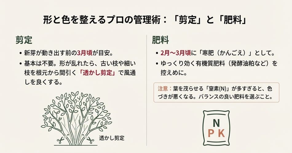 オタフクナンテンの古い枝を間引く透かし剪定の図解と、N（窒素）・P（リン酸）・K（カリ）の肥料バランスに関するイラスト。