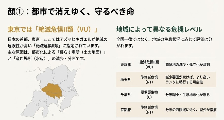 東京都では絶滅危惧II類、埼玉県では準絶滅危惧など、生息地域によって危機レベルの評価が異なることを示した日本地図と一覧表