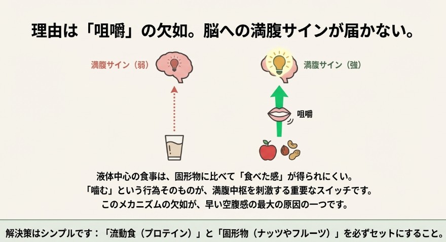 プロテインを飲むイラストと、咀嚼不足により脳へ満腹サインが届かない仕組みの解説図。解決策としてナッツなどの固形物をセットにする提案 。
