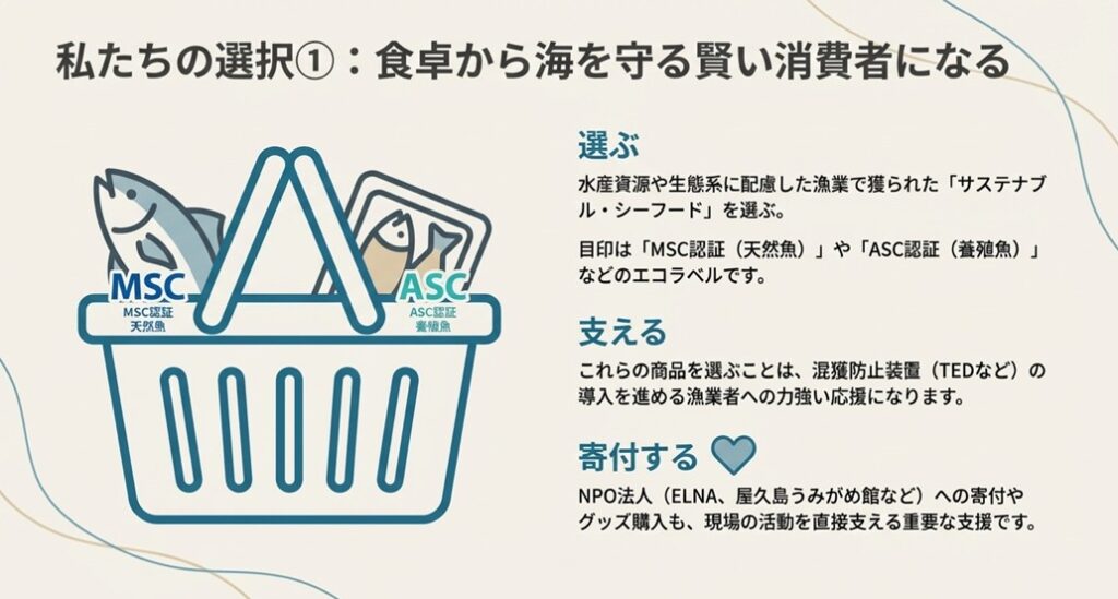 MSC認証（天然魚）とASC認証（養殖魚）のロゴマーク。エコラベルのついた商品を選ぶことが漁業支援につながることを示す図。