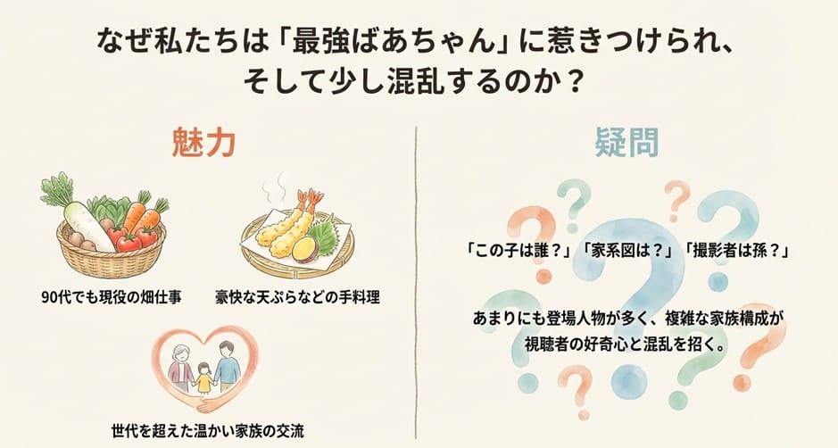 野菜や天ぷらのイラストとともに、視聴者が抱く家系図や撮影者への疑問点をまとめたスライド