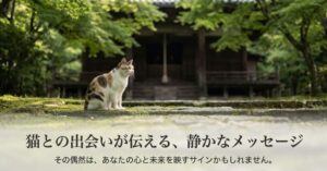 猫に会うスピリチュアルメッセージとは？色や場所が示すサイン
