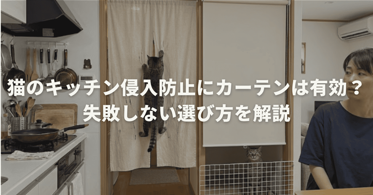猫のキッチン侵入防止にカーテンは有効?失敗しない選び方を解説