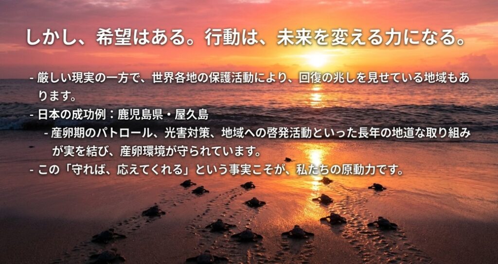 屋久島での保護活動（パトロールなど）の成果として、産卵環境が守られていることを伝えるメッセージスライド。