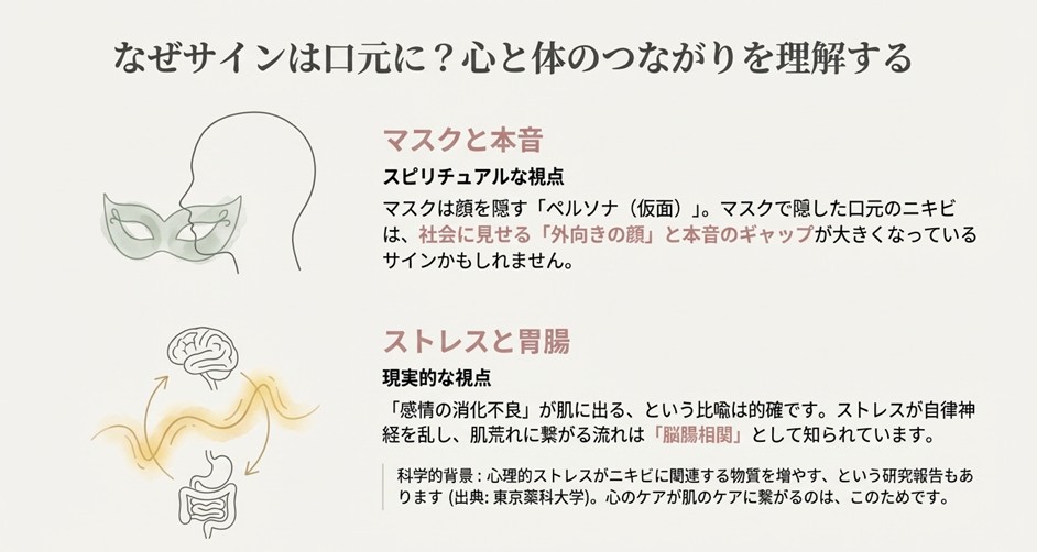 口元ニキビの原因解説。マスクによる本音の隠蔽とストレスによる胃腸の不調（脳腸相関）のイラスト