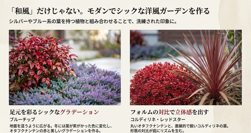 オタフクナンテンの赤に、ブルーチップの青紫色の葉や、コルディリネ・レッドスターの鋭い葉を合わせた、シックでモダンな洋風ガーデンの植栽例。
