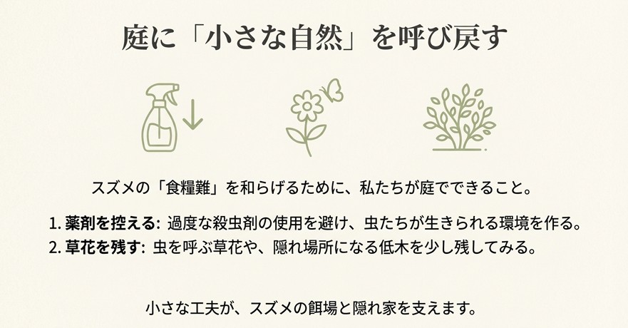 薬剤を控え、草花を残すことで虫を呼び、スズメの食糧難を和らげる「庭に自然を呼び戻す」イメージイラスト。