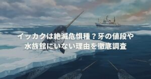 イッカクは絶滅危惧種？牙の値段や水族館にいない理由を徹底調査