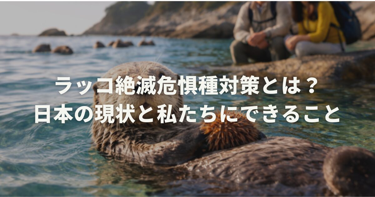 ラッコ絶滅危惧種対策とは?日本の現状と私たちにできること