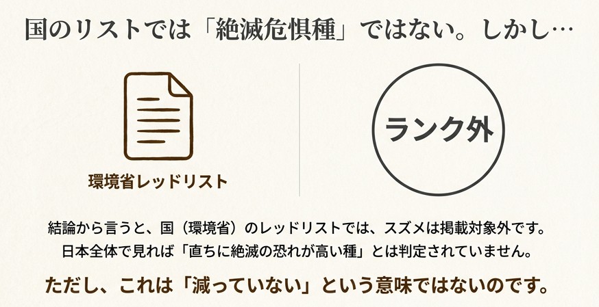 環境省のレッドリストではスズメは「ランク外」であり、絶滅危惧種には指定されていないことを示す図解。