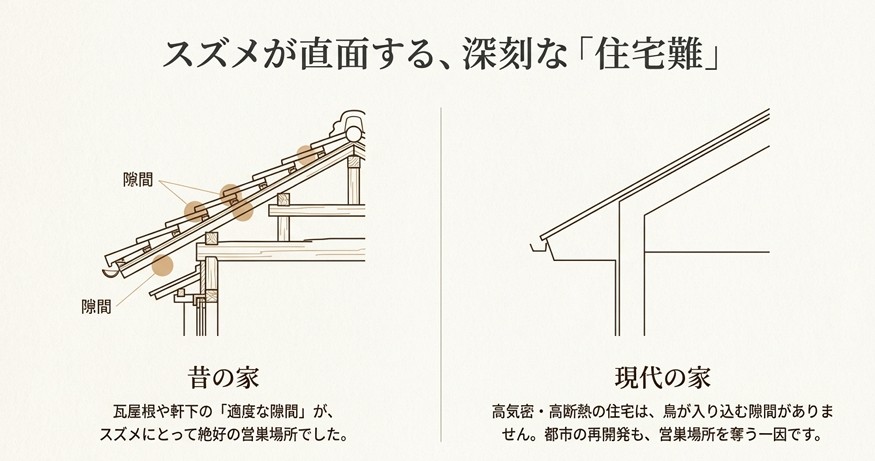 瓦屋根の「隙間」がスズメの巣になっていた昔の家と、気密性が高く隙間がない現代の家の構造比較イラスト。